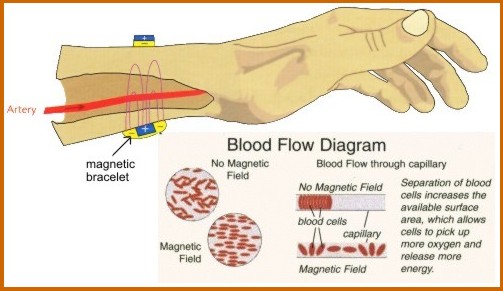 How Magnetic Therapy works